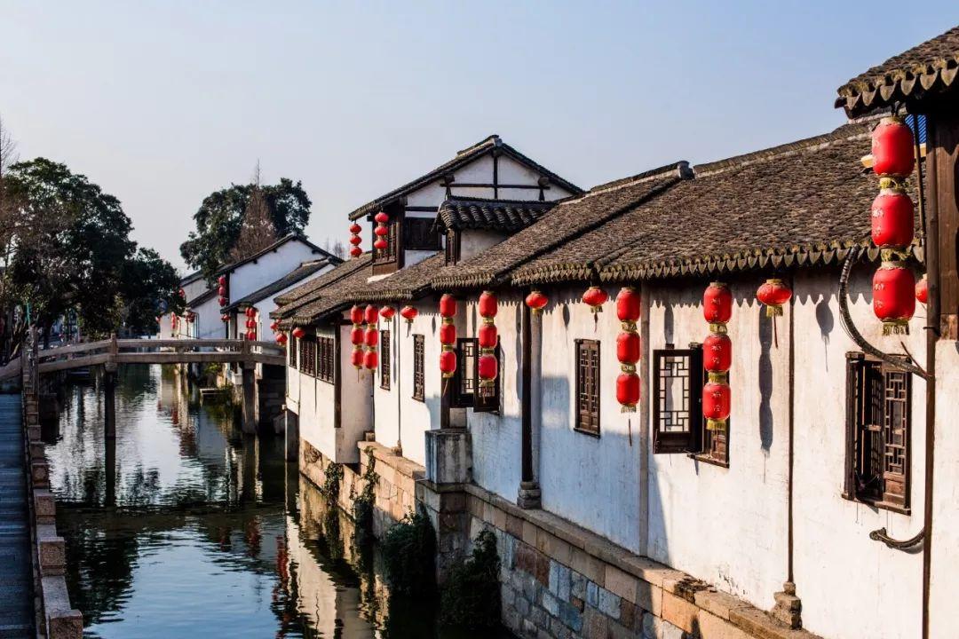 冷知识分享平台 - 探索奇闻异事,尽在图片里的花叫什么名字?